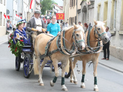 IMG_5202.JPG