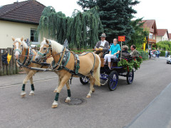 IMG_1480.JPG