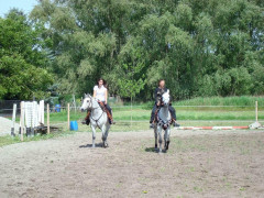 Bild_005.JPG