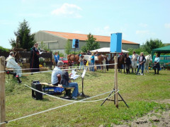 Bild_039.JPG