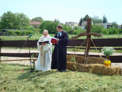 Bild_062.JPG