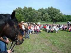 Bild_031.JPG
