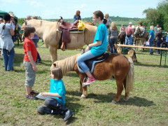 Bild_061.JPG