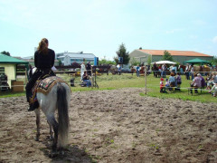 Bild_037.JPG
