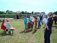 Bild_059.JPG