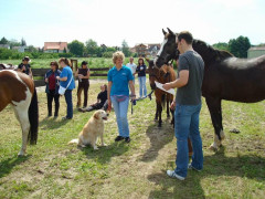 Bild_028.JPG