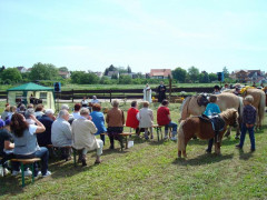 Bild_025.JPG