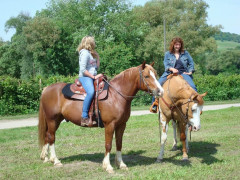 Bild_003.JPG