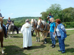 Bild_058.JPG