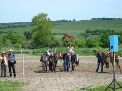 Bild_066.JPG