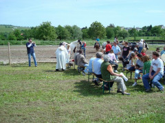 Bild_055.JPG