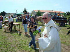 Bild_052.JPG