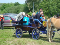 Bild_010.JPG