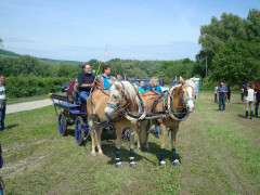 Bild_011.JPG