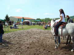 Bild_038.JPG