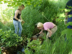Bild_026.jpg