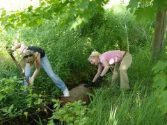 Bild_025.jpg