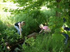 Bild_023.jpg