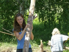 Bild_033.jpg