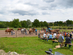 2011-08-14 12-16-35 - DSC_0145.JPG