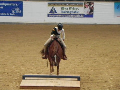 Alessa Bruecke Mannschaft.JPG