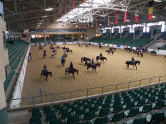 Abreiten Showarena1.JPG