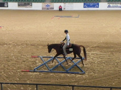 Alessa Trabfaecher Mannschaft.jpg