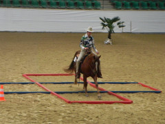 Katja Galoppstangen.JPG