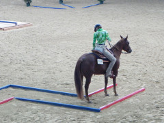 Alessa rueckwaerts Z Vorlauf.JPG