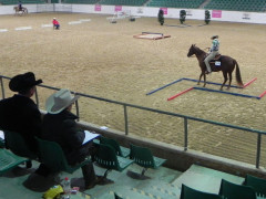 Katja rueckwaerts Z.jpg