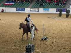 Alessa Tor Mannschaft.JPG