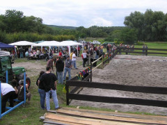  P1010042.JPG