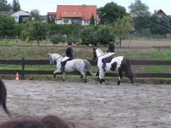  P1010055.JPG