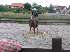  P1010061.JPG