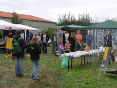  P1010068.JPG